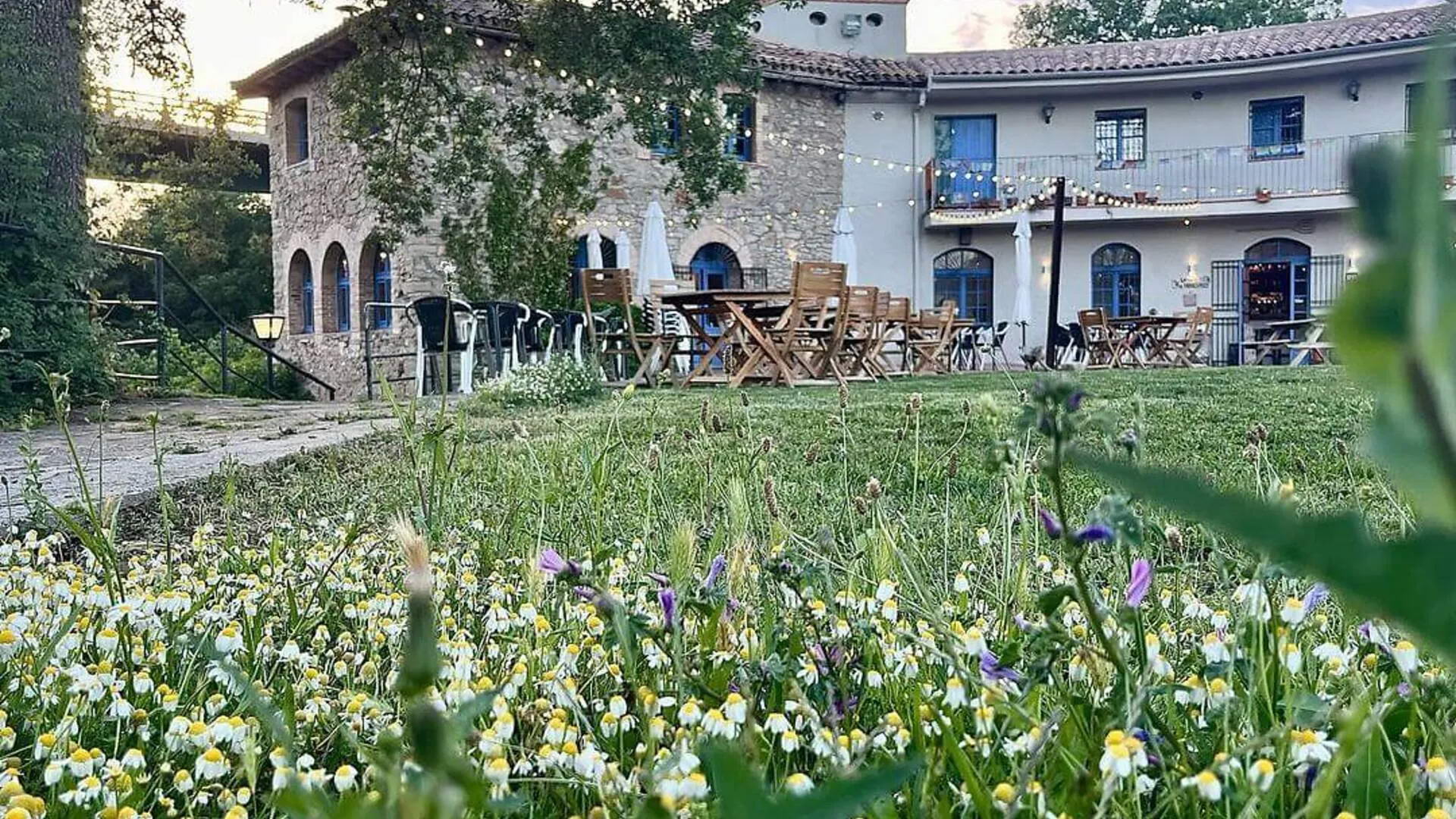 Can Remoli