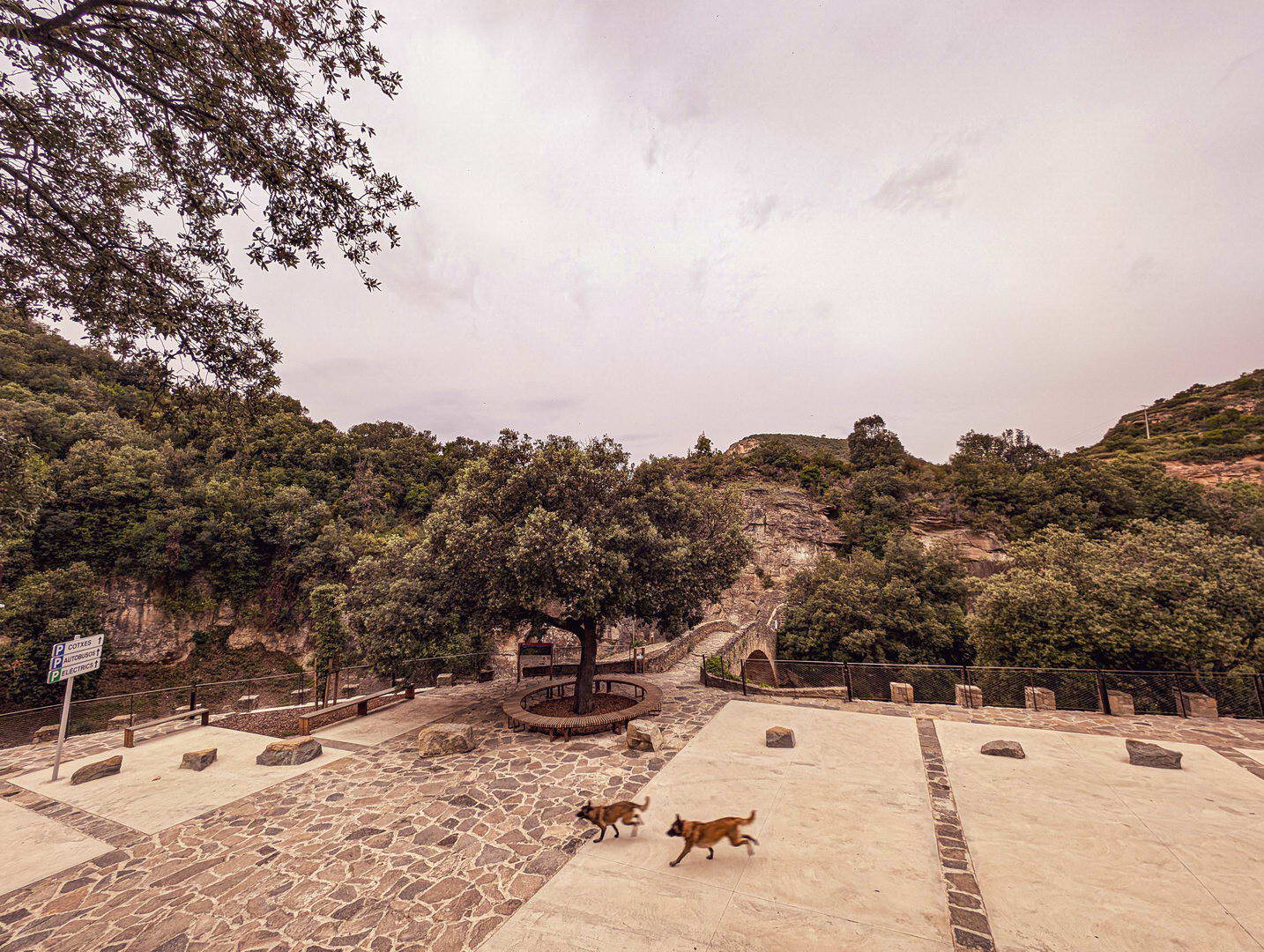 Hiking Cingles de Bertí